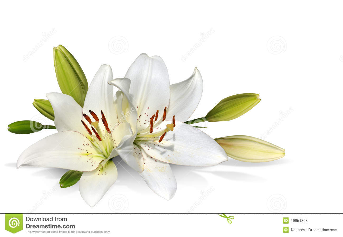 White Easter Lily Decoration