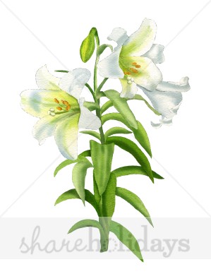 Easter Lily Clipart - Easter Lily Clipart