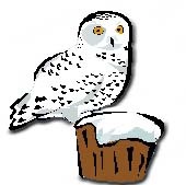 cute snowy owl clip-art