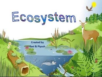 Ecosystem: Unit Pack with .