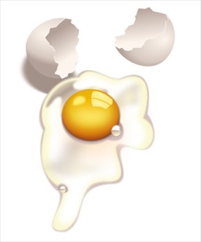 egg-uncooked - Clipart Egg