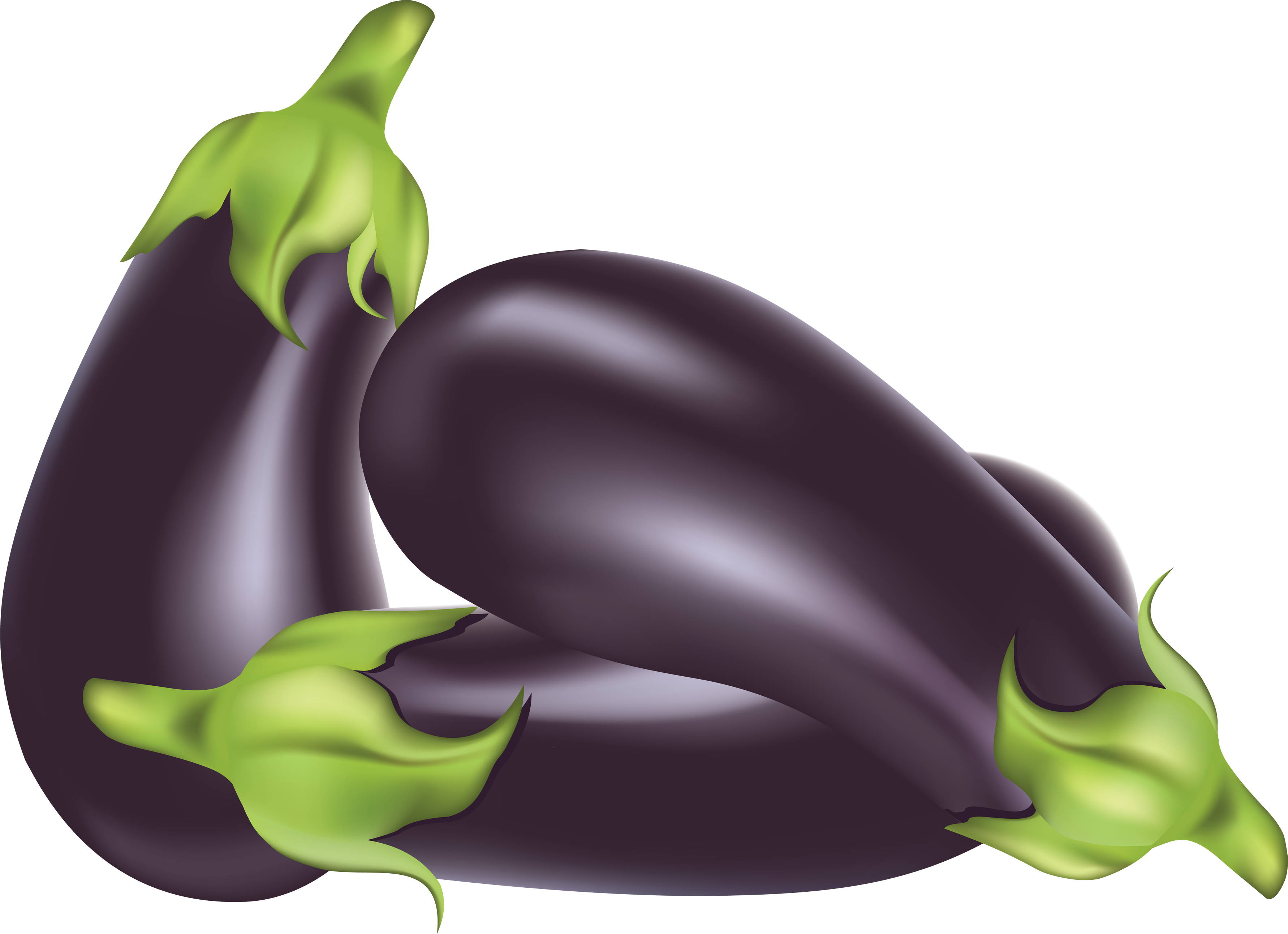 Clipart Of Eggplant Three The Cliparts