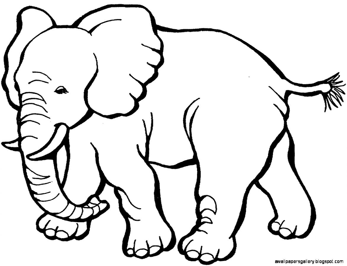 Elephant Clipart Black And Wh - Elephant Clipart Black And White