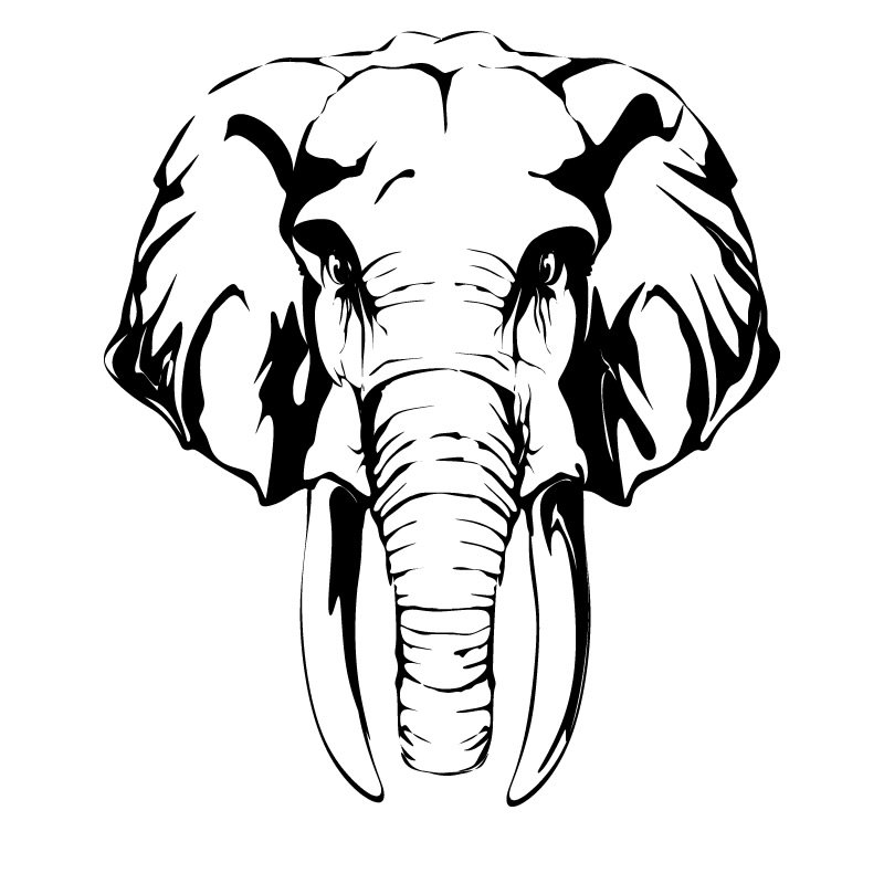 Elephant Head Drawing