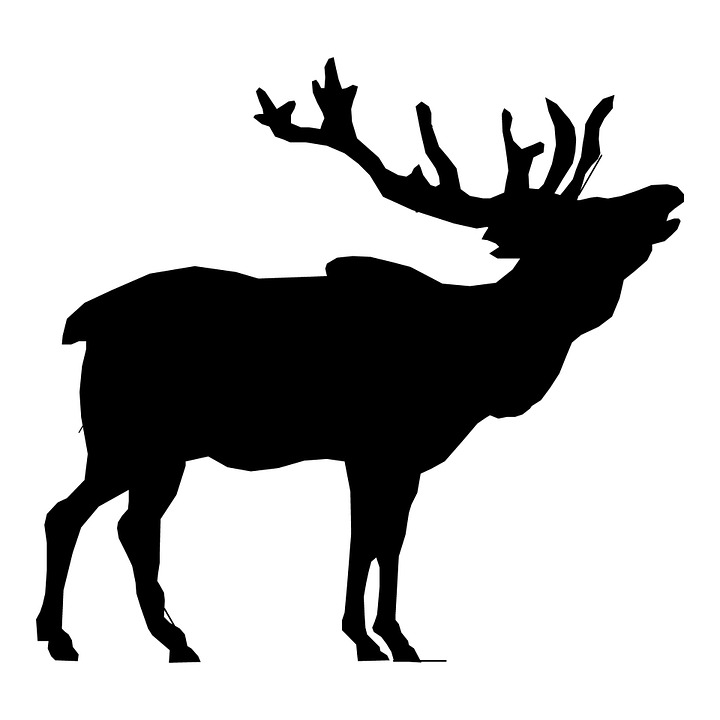 Elk, Stag, Head, Deer, Clip, Art, Isolated, Outline