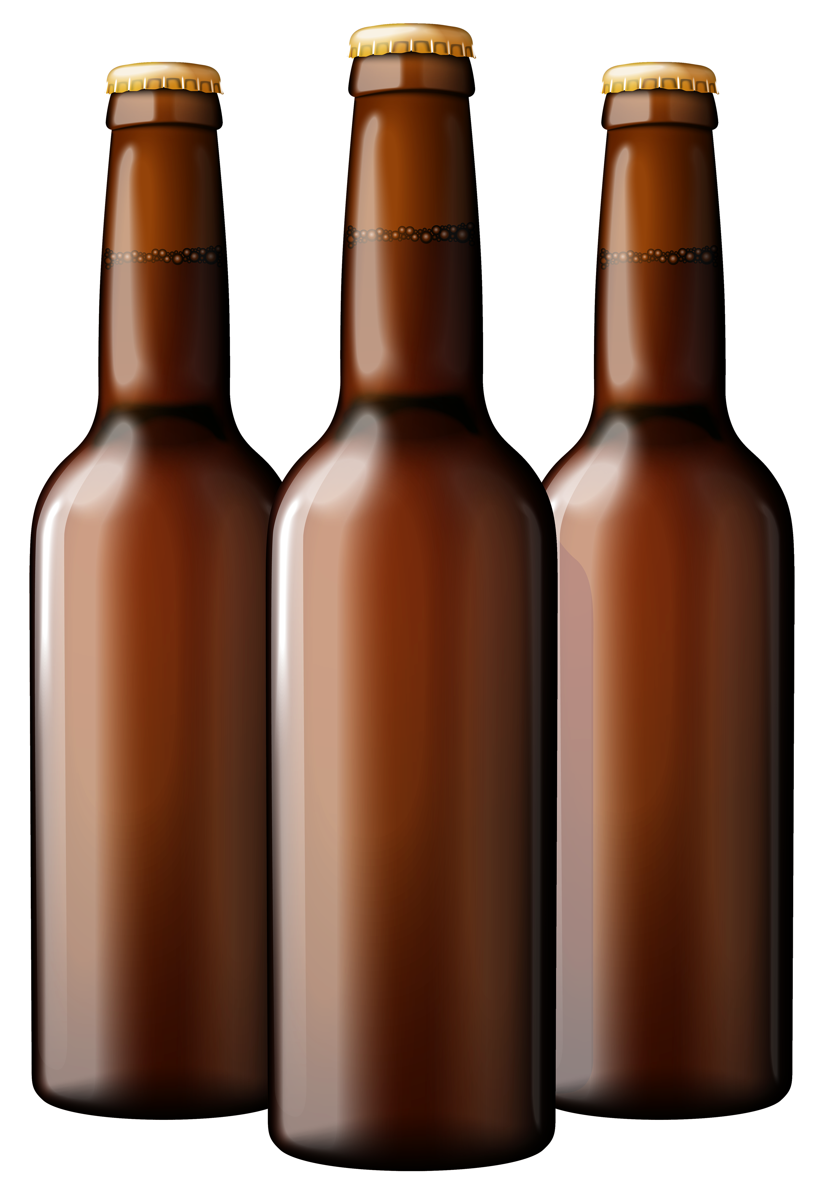 ... isolated beer bottles set