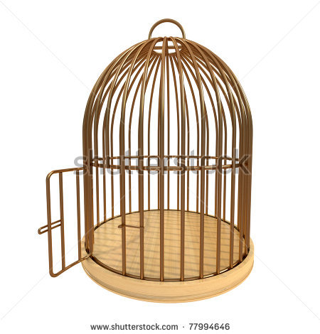 Empty Cage Clipart #1 - Bird Cage Clip Art