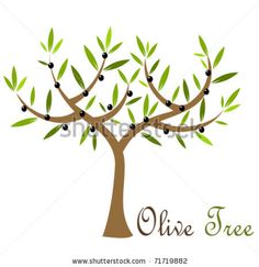 EPS Vector of Olive tree with - Olive Tree Clipart