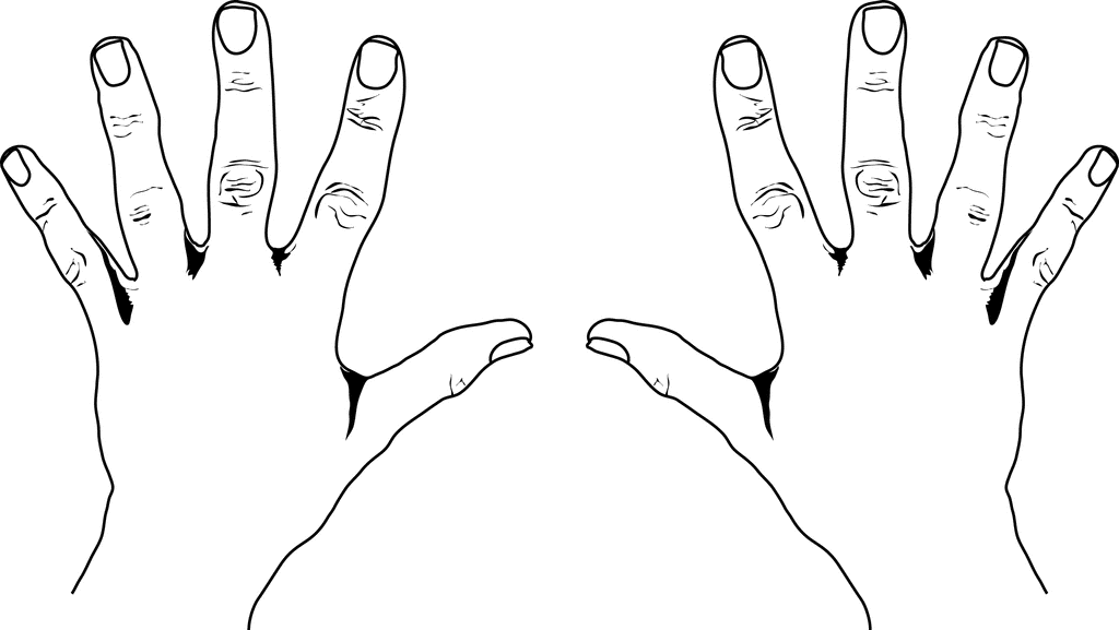 European Style Counting Hands - Clip Art Of Hands