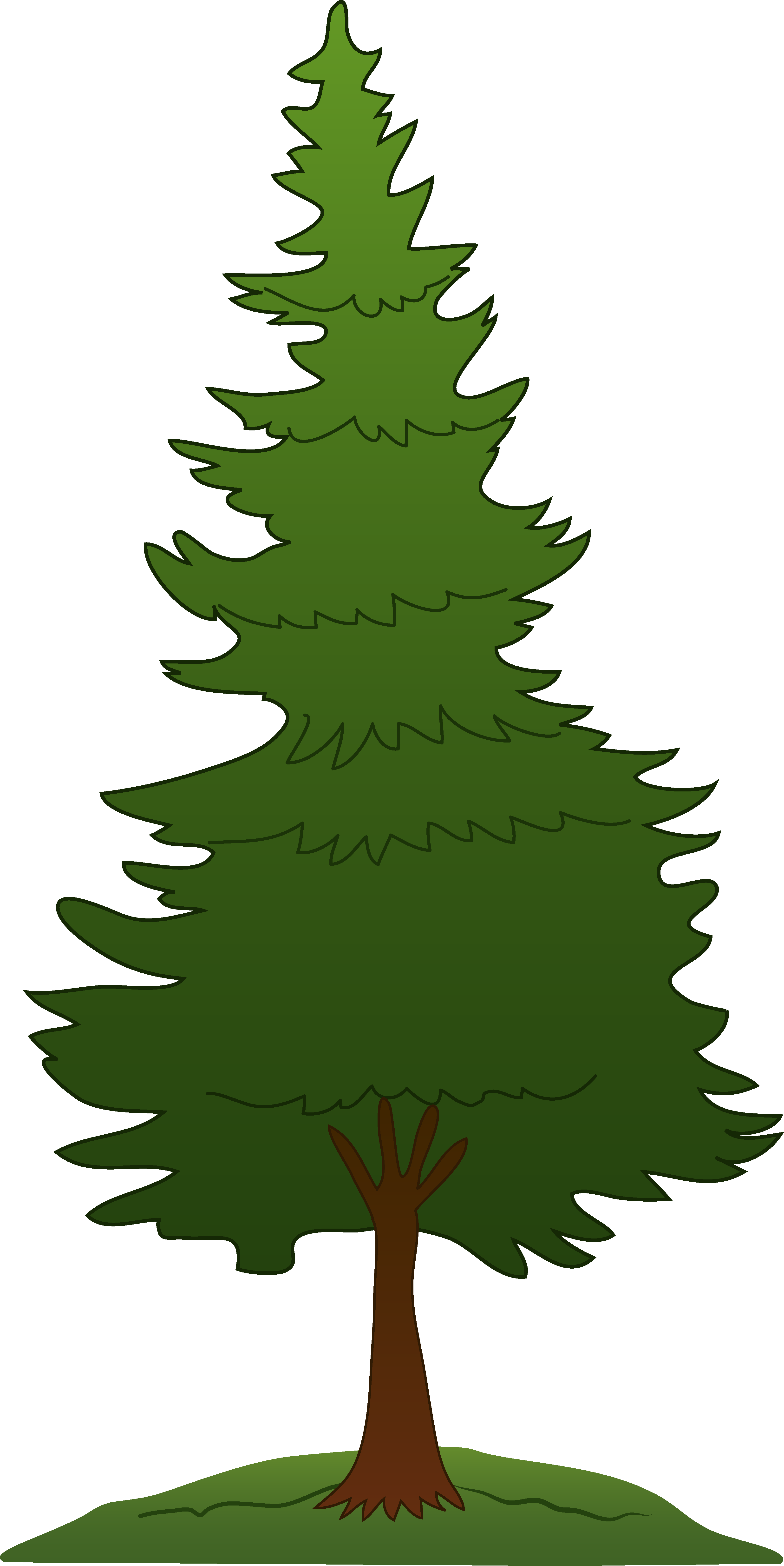 Evergreen Tree Brown Clipart
