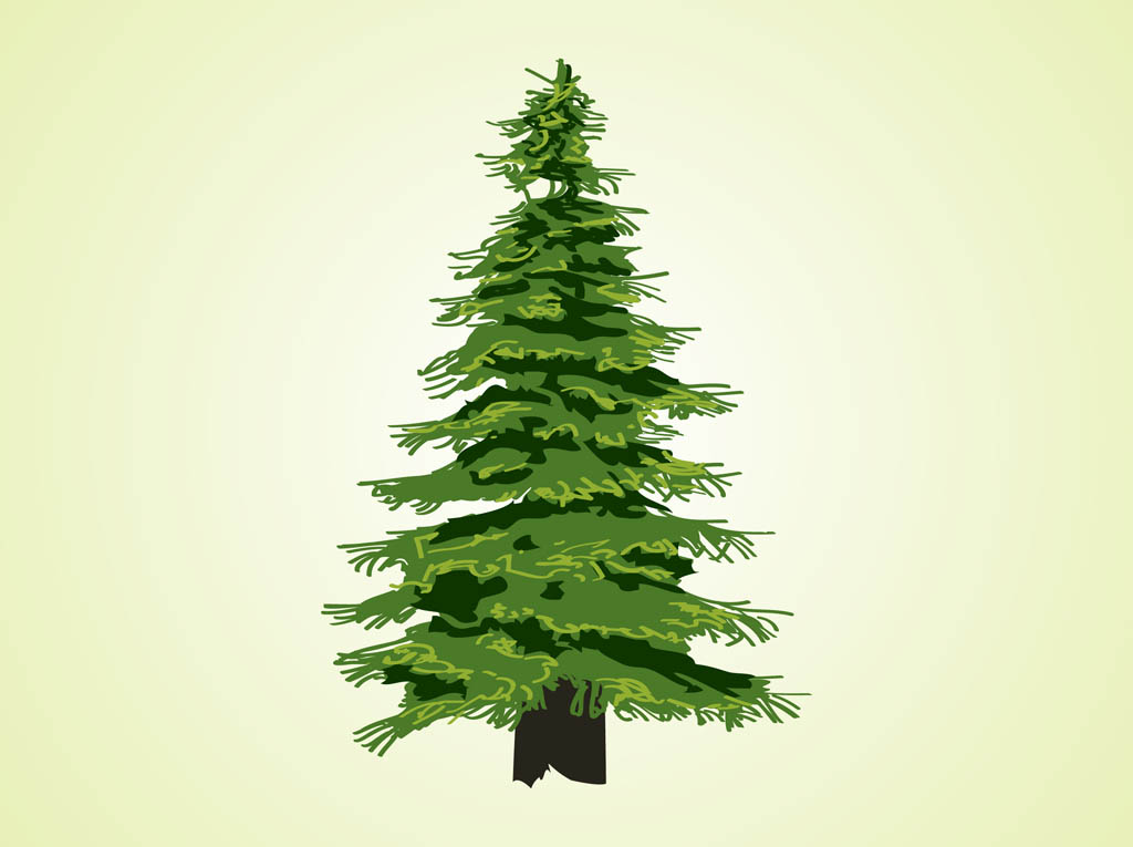 Evergreen Tree Vector - Evergreen Clipart