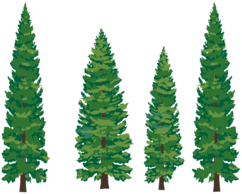 Evergreen Trees Clipart