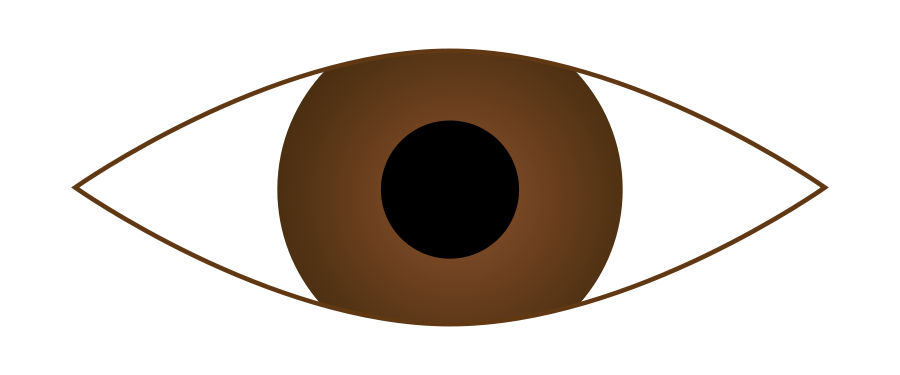 Eye Clipart image - Brown Eyes Clipart
