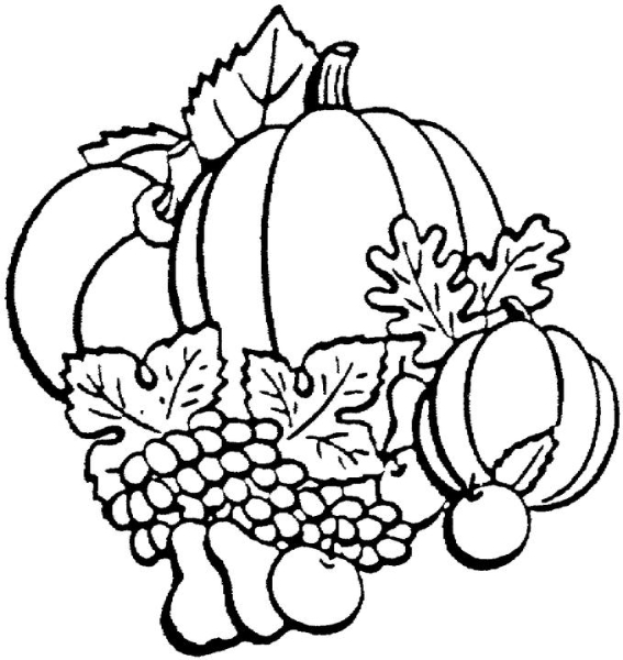 fall leaves clipart black and white border