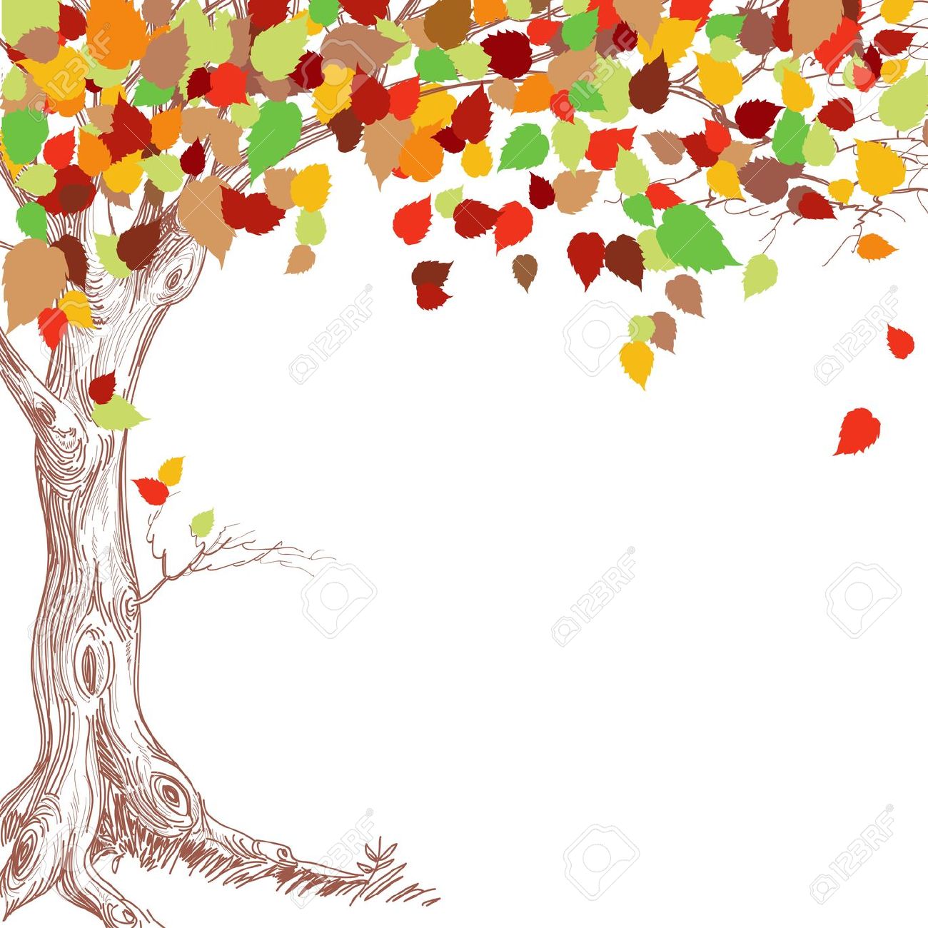 fall back: Autumn tree .