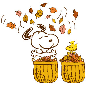 Fall autumn thanksgiving clip