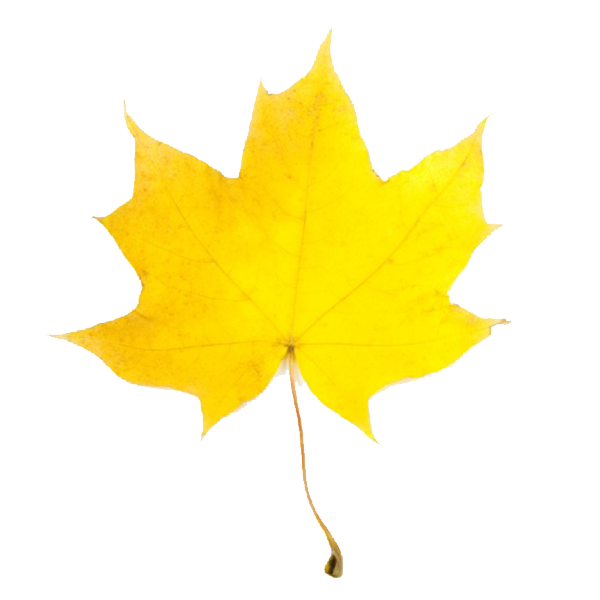 Fall Leaf 2 Clip Art - Autumn Leaf Clip Art