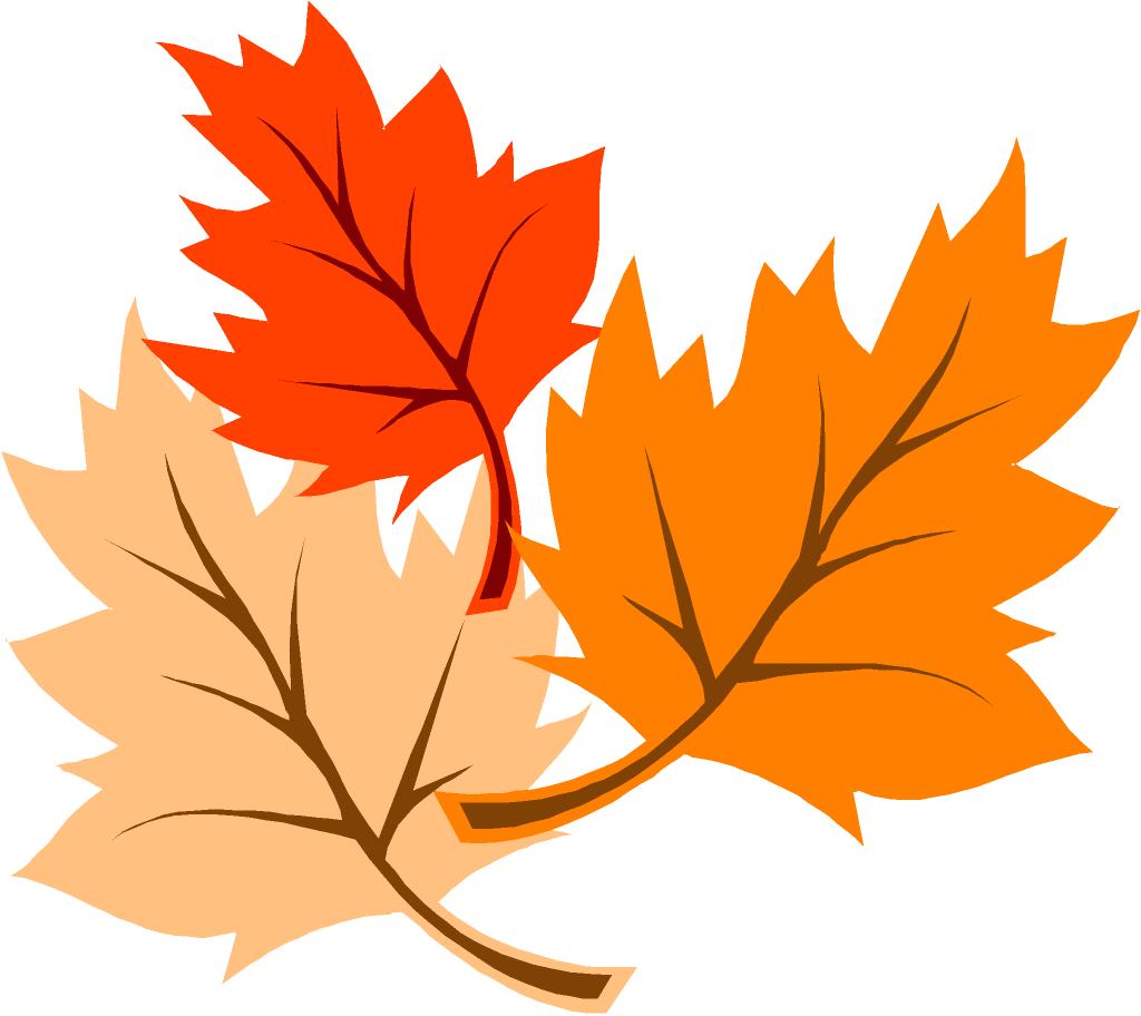 Fall Leaves - Autumn Leaves Clipart