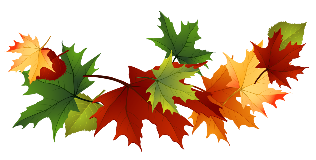 Fall leaves clip art vector |