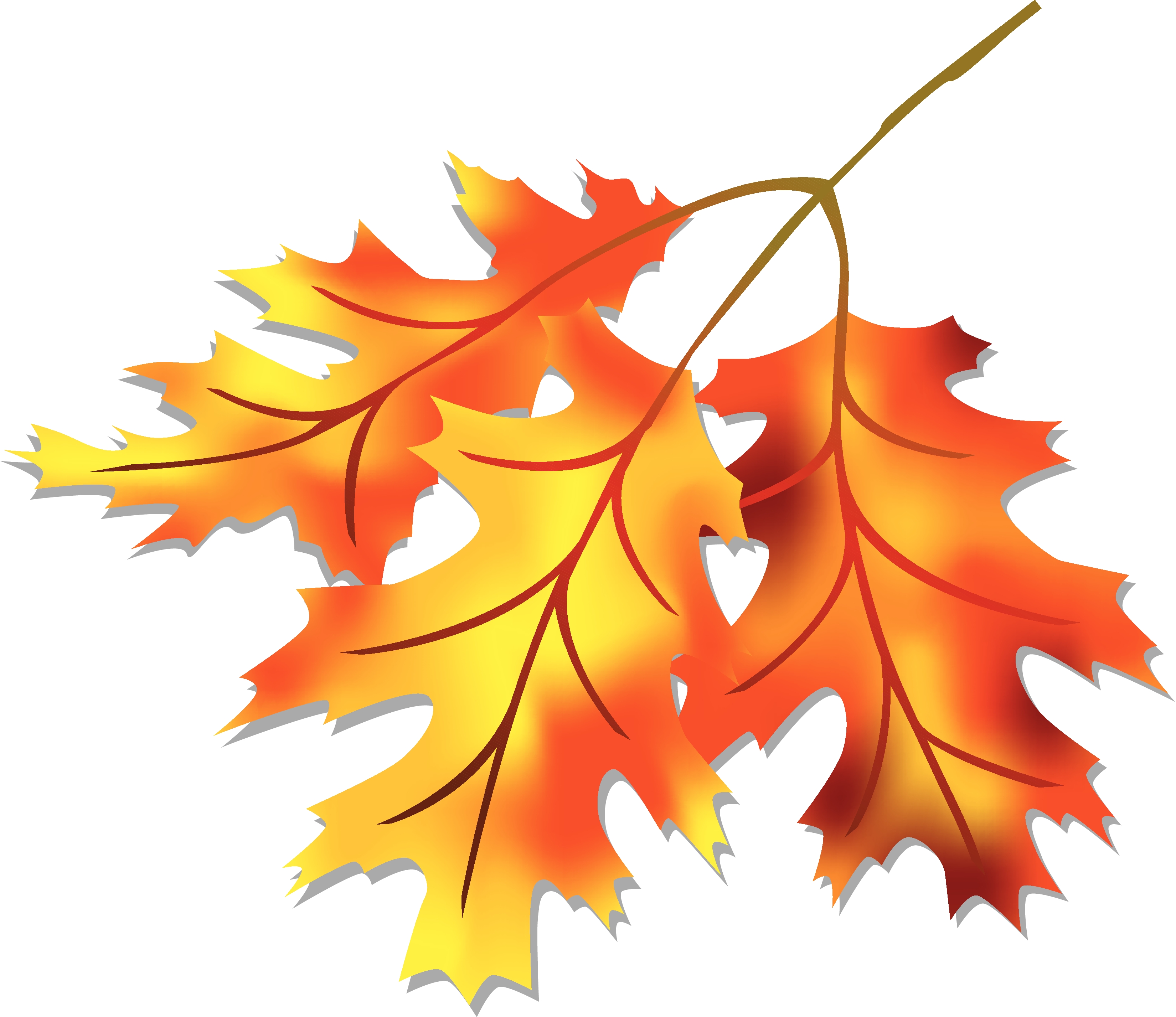 Fall leaves clipart free . - Autumn Leaf Clip Art