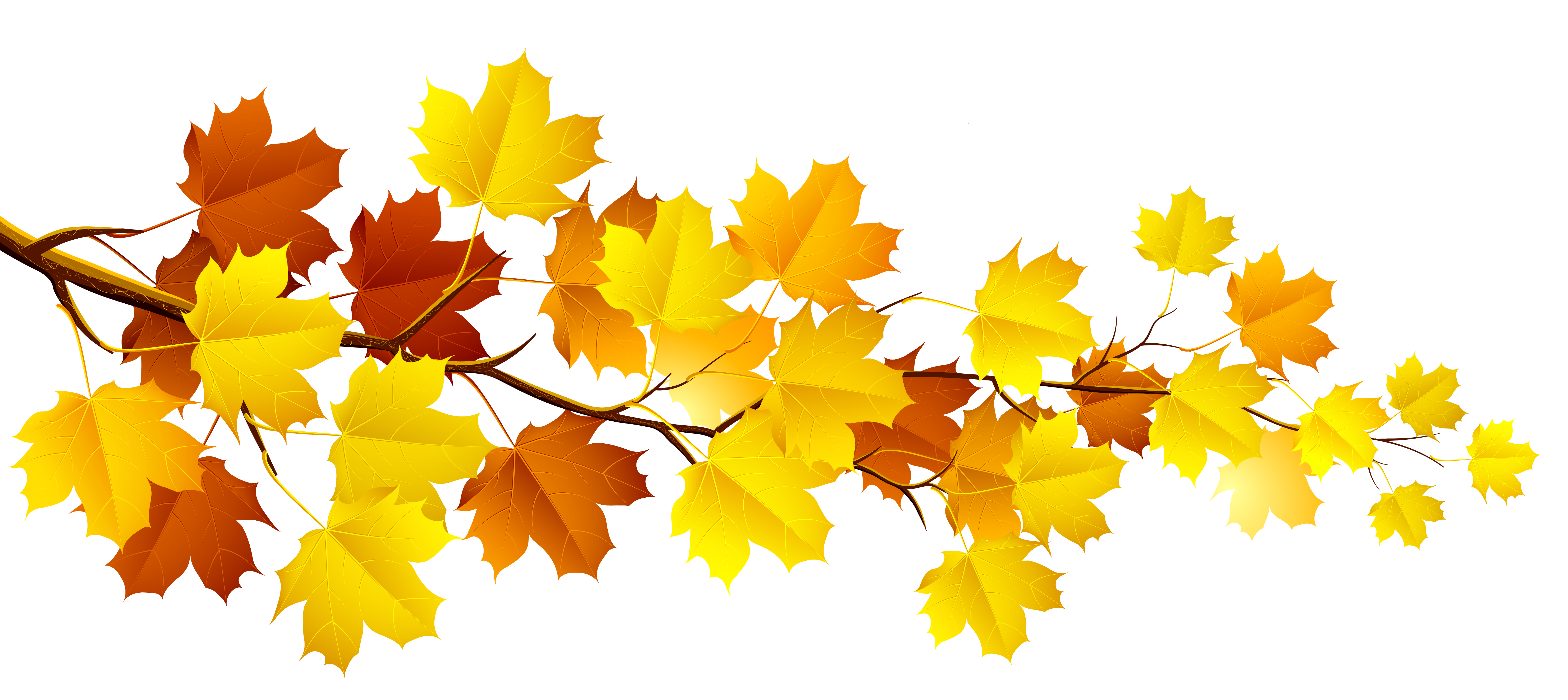 Yellow Fall Leaf Clip Art
