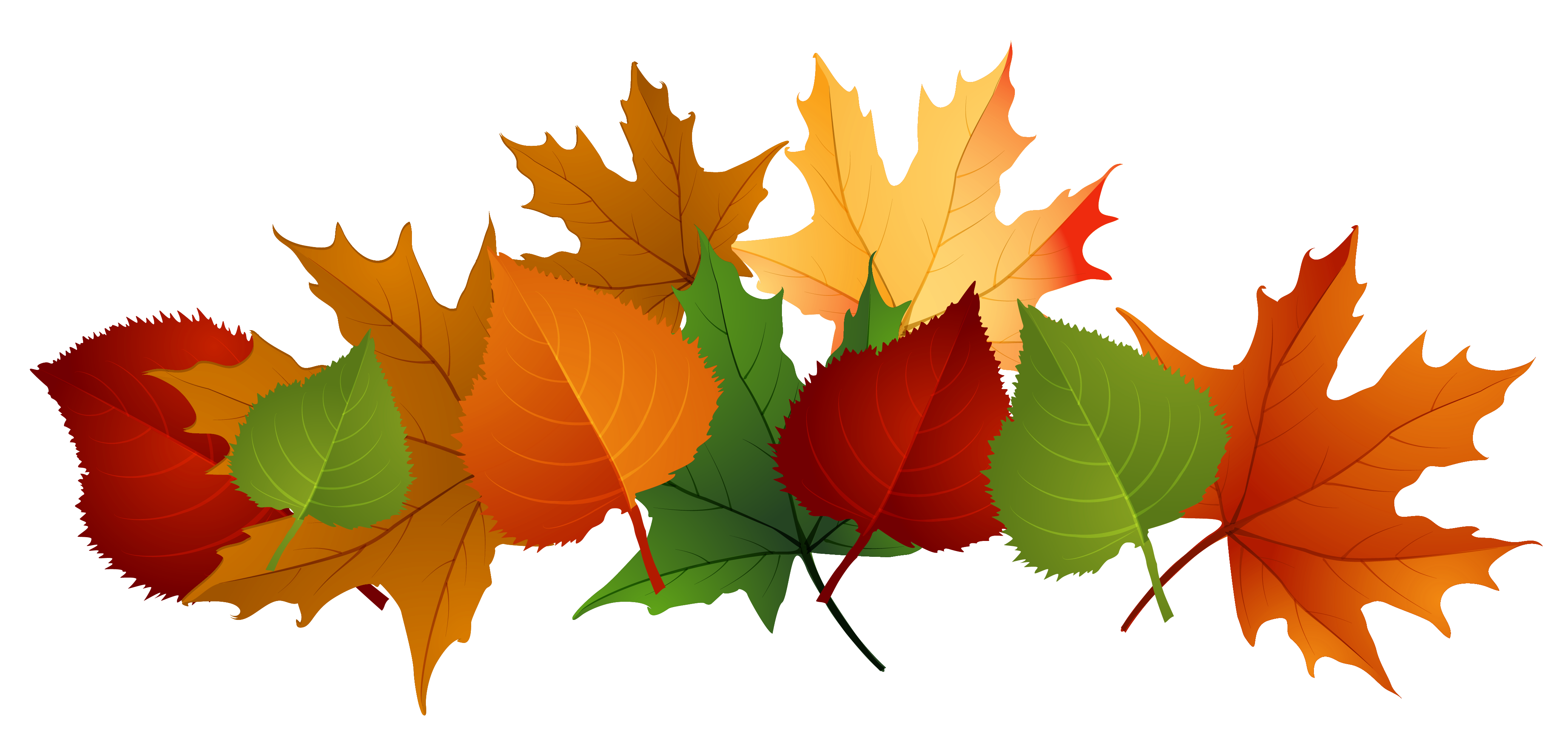 Fall leaves fall clip art . - Clipart Leaves