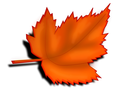 Fall Leaves Transparent . - Clipart Transparent Background