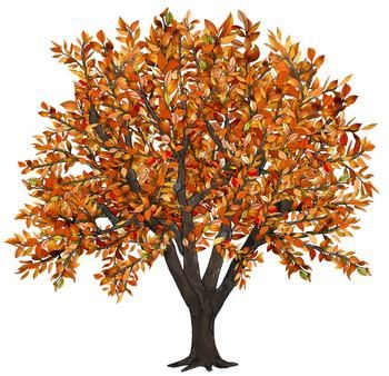 Fall Tree Clipart - Fall Tree Clip Art