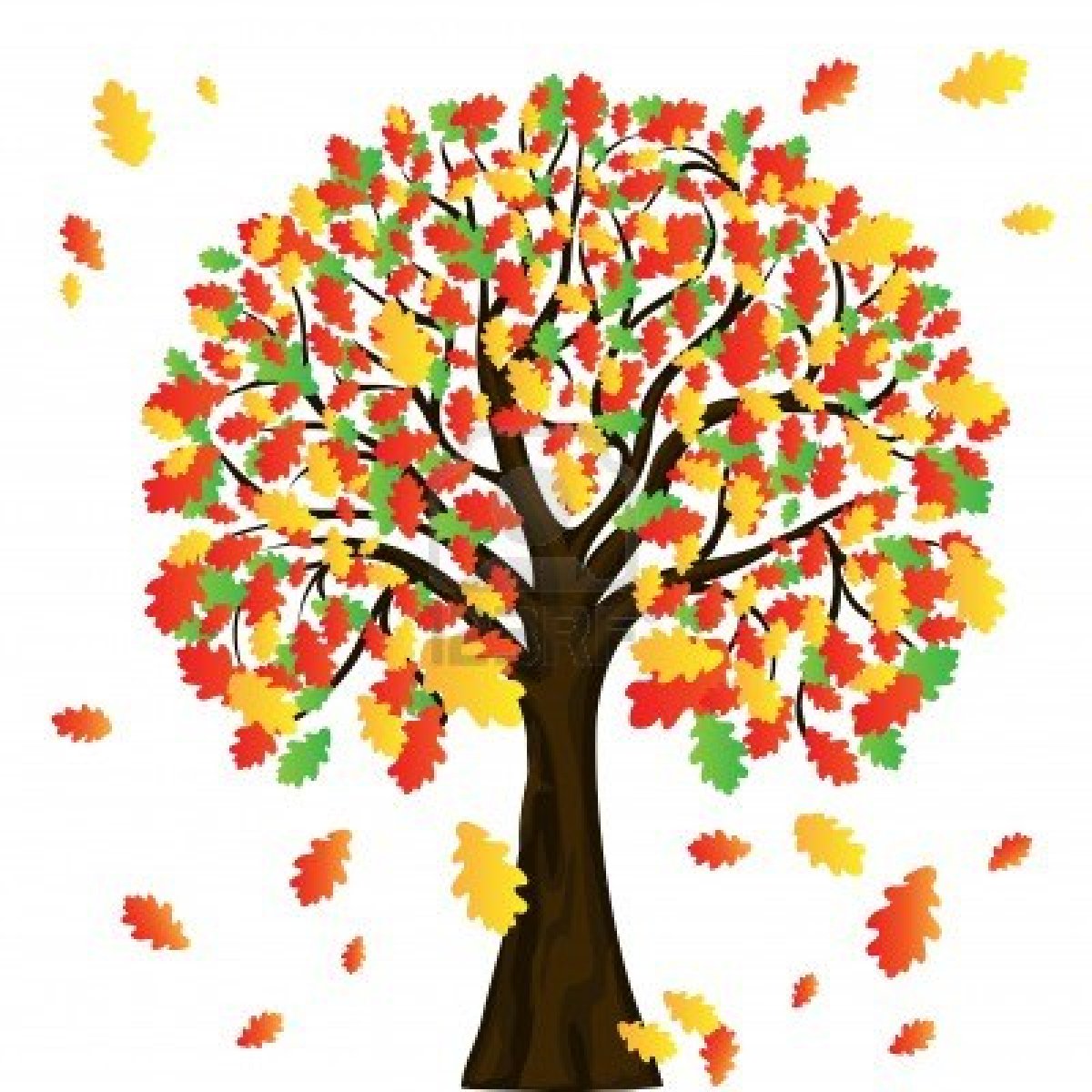 Fall Trees Clipart
