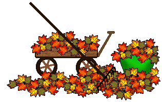 Decorative autumn leaves clip