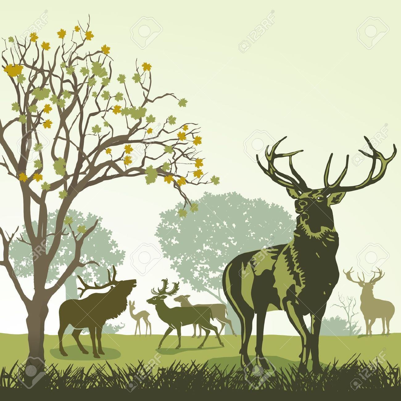 fallow deer: Deer and wildlif - Wildlife Clipart