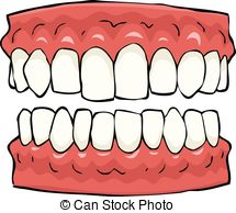 ... False teeth on a white ba - Teeth Clipart