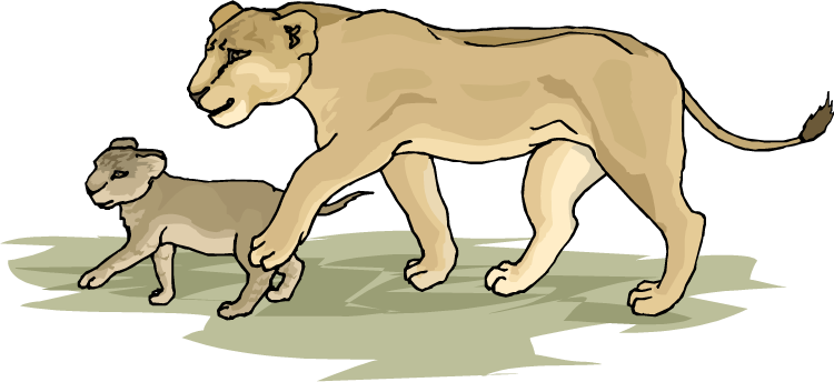 Family Lioness Clipart - Lioness Clipart