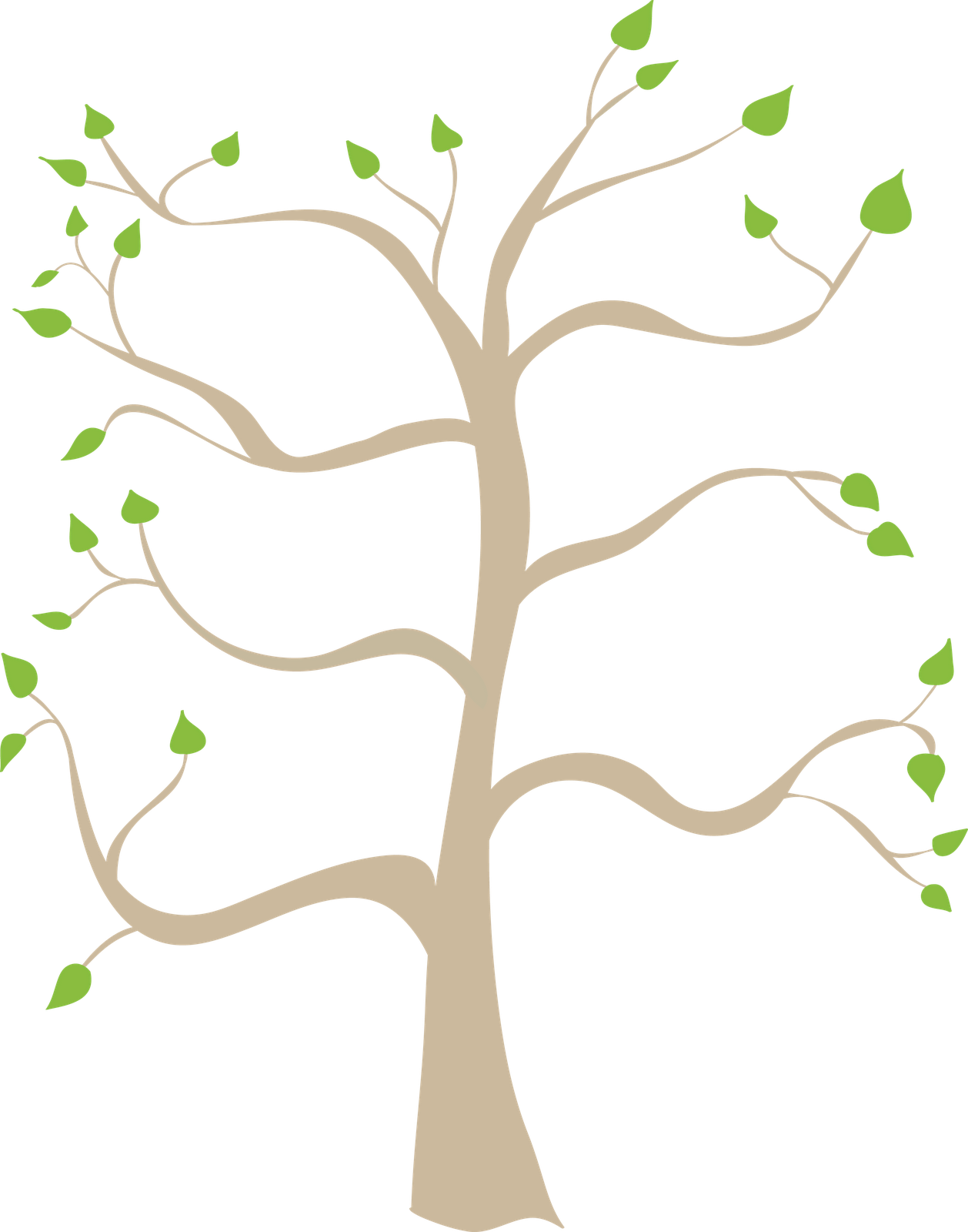 Family Tree Clipart | ... bra