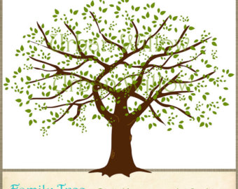 Vector - Family tree sketch .