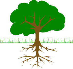 Trees With Roots Clipart Best