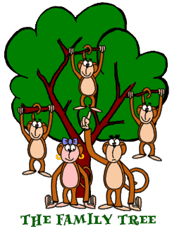 family tree with family hanging on branches