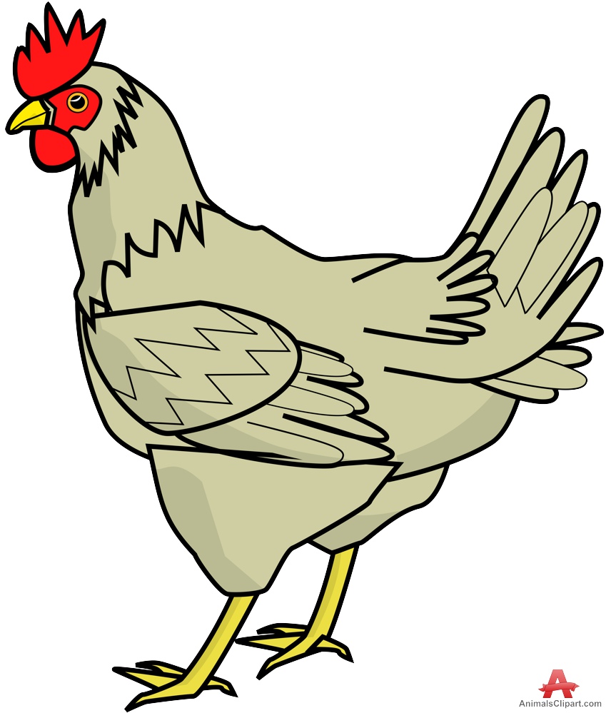 Farm Chicken Clipart