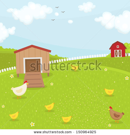 Farm chicken coop. Summer time