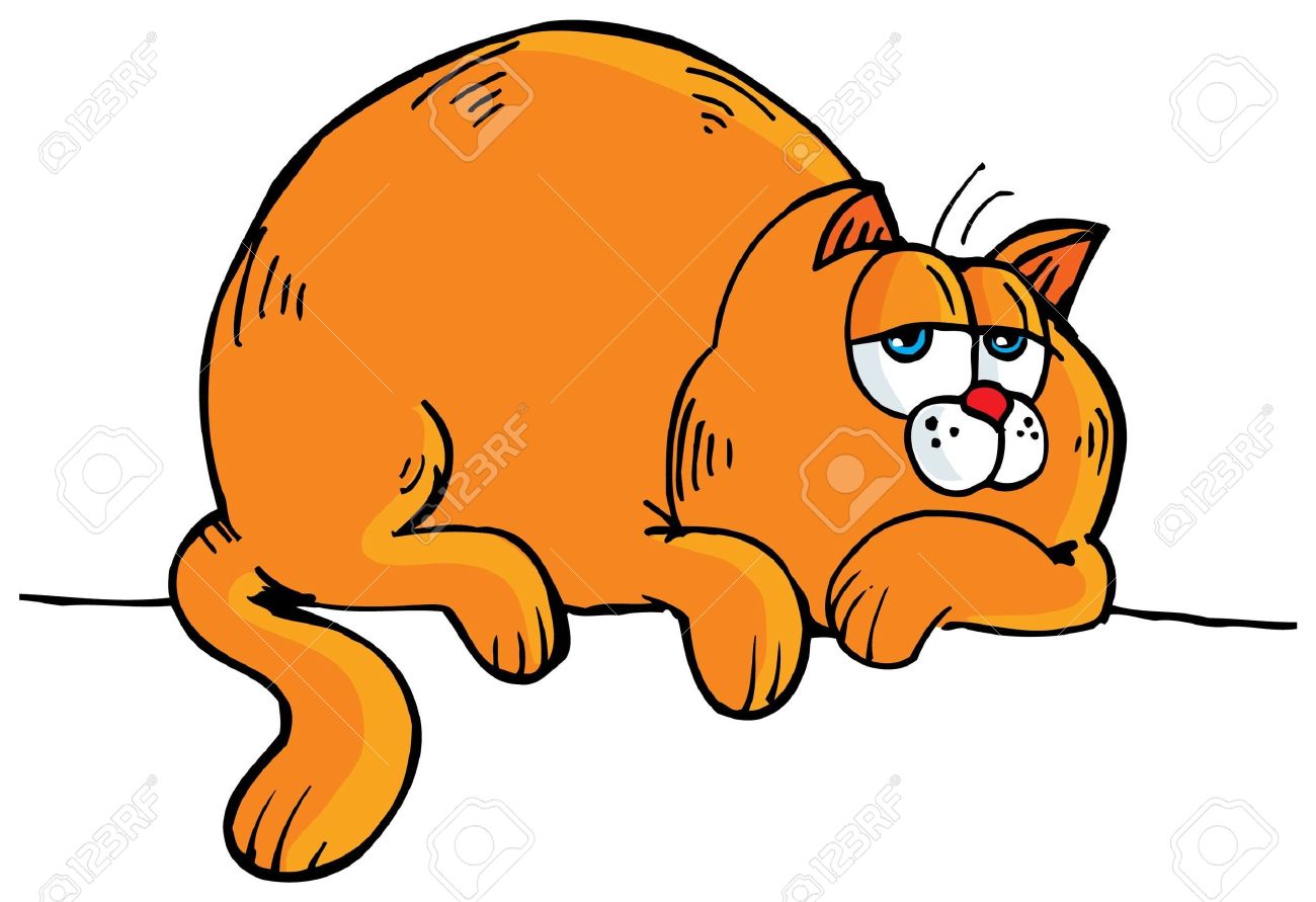 fat cat , cartoon of fat .