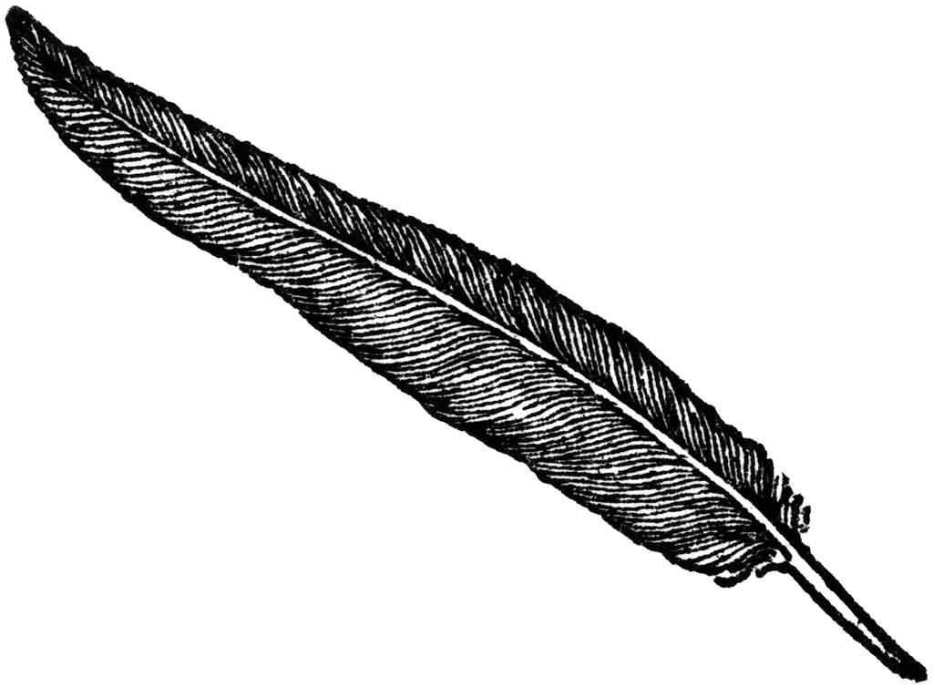 Feather clip art 2 - Clipart Feather