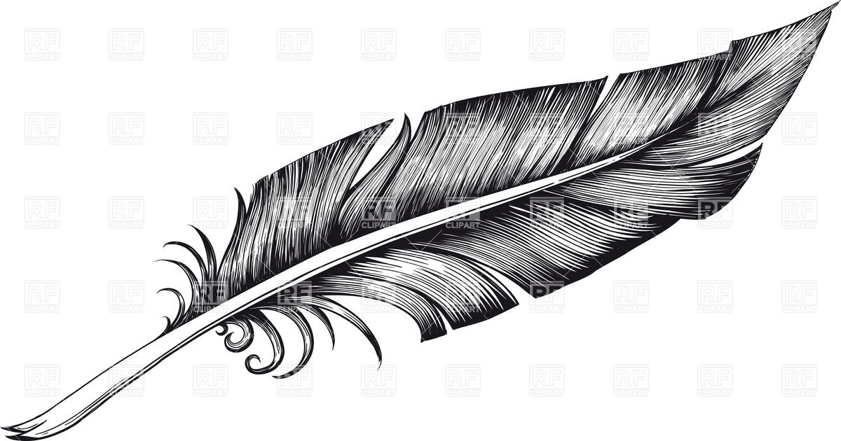 ... Feather Clip Art ...