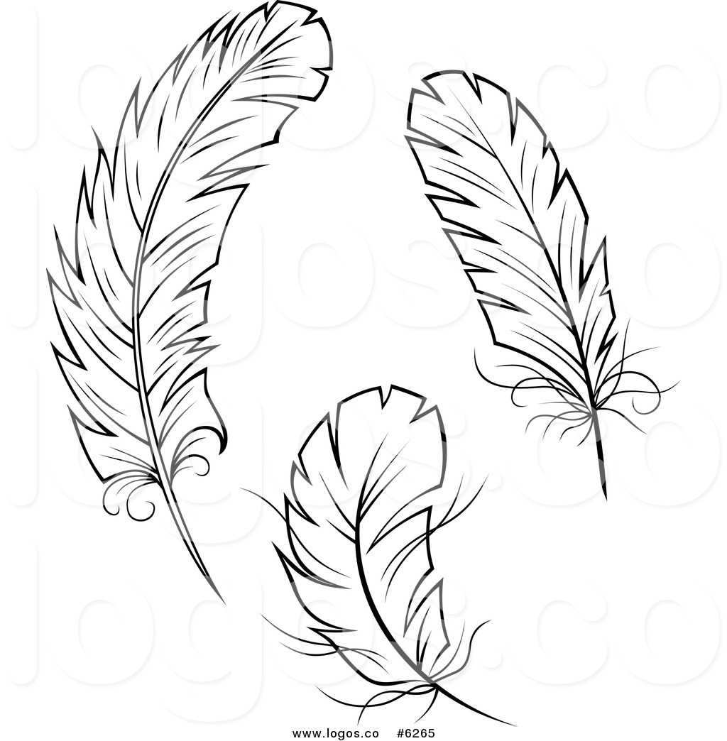 Feather clip art to download clipartcow