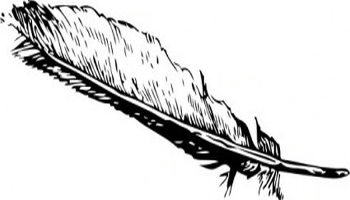 Feather clipart free clipart .