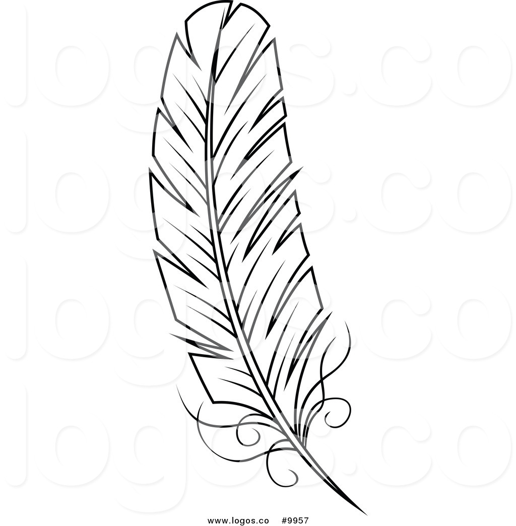 Vector clipart feather #5