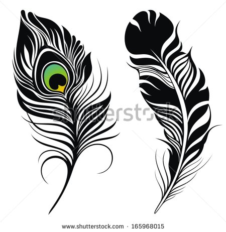 Vector isolated peacock feath
