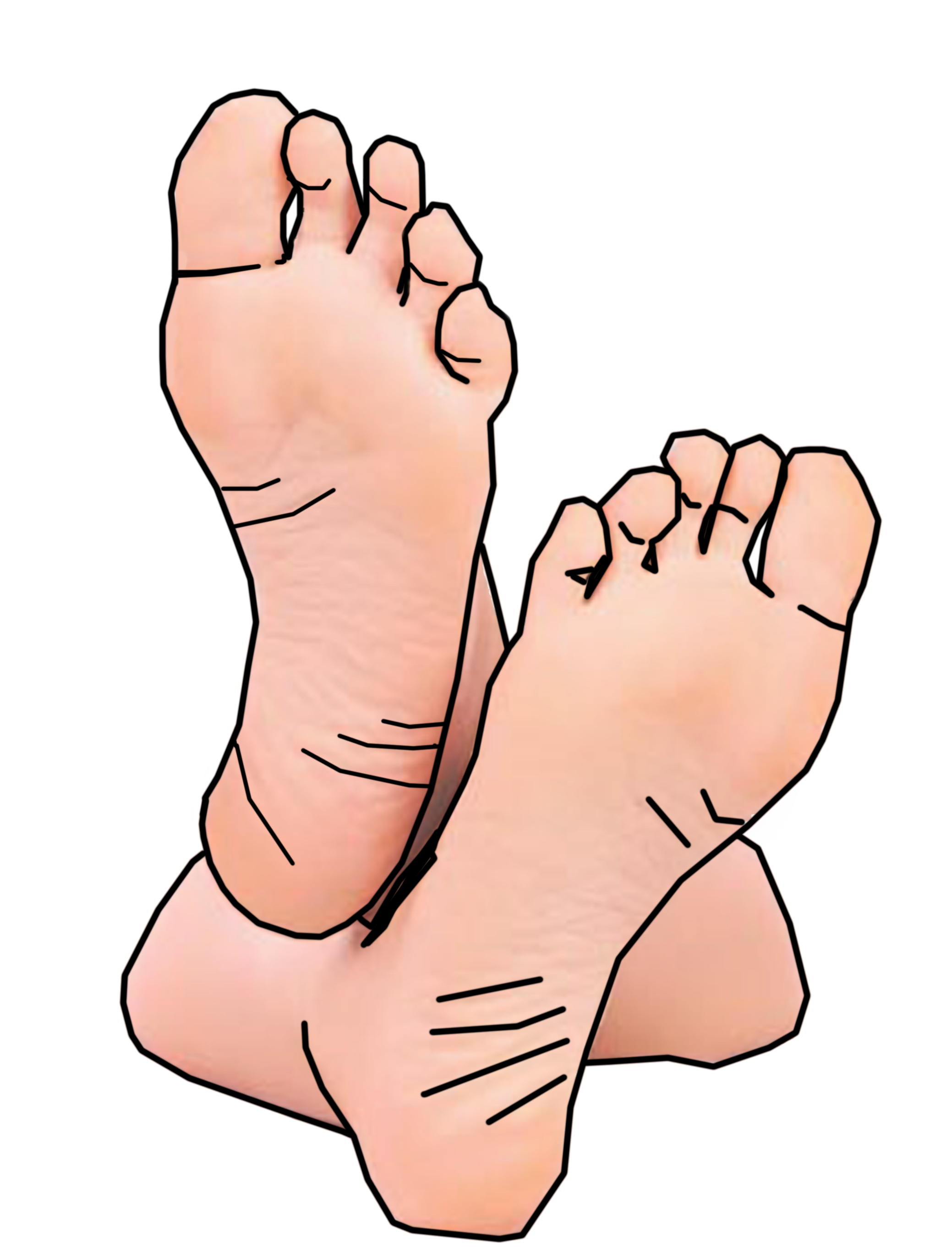 Foot Clipart | Free Download 