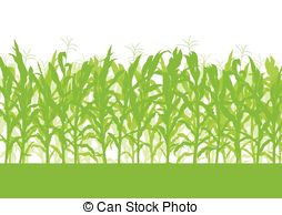. ClipartLook.com Corn field vector background ecology green concept