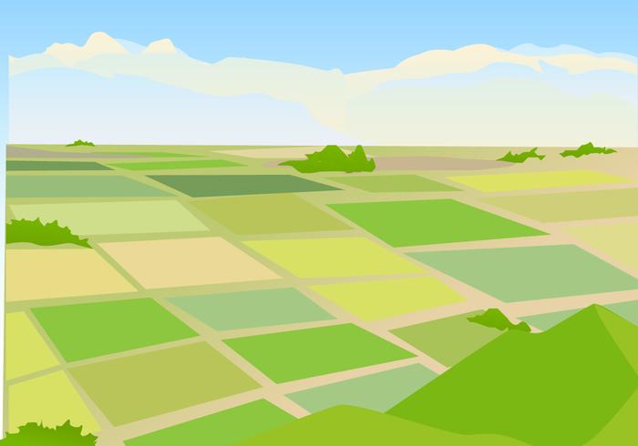 rice field clipart 5