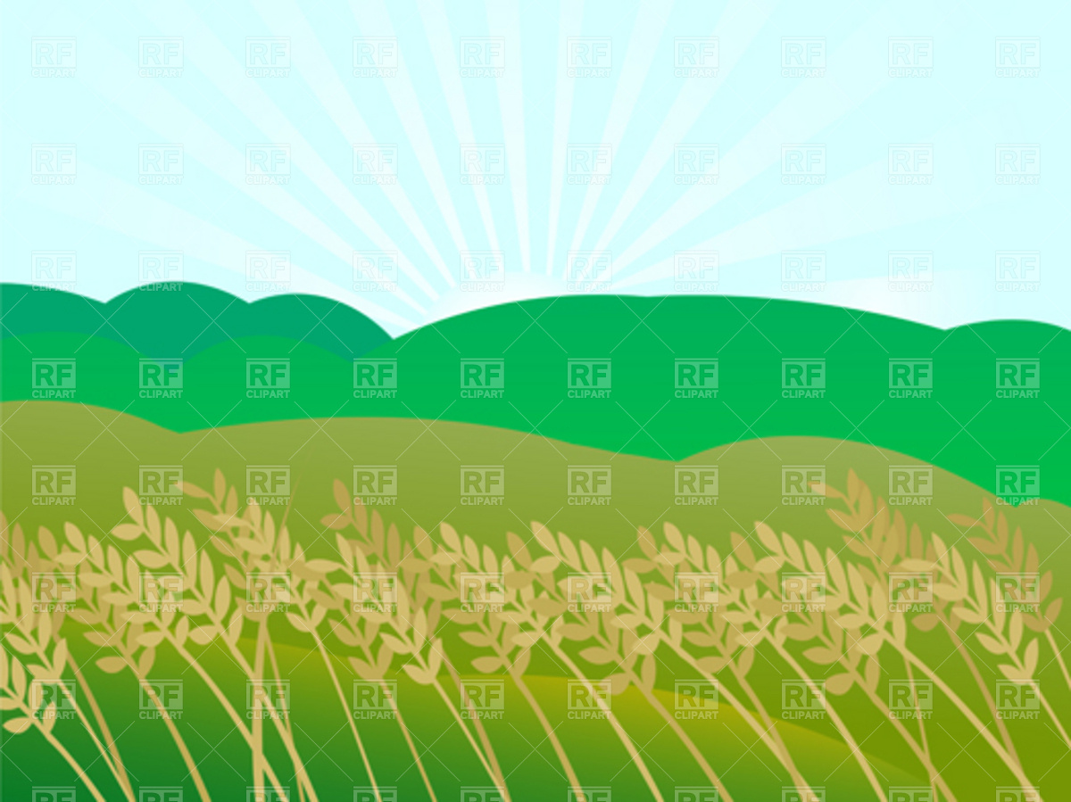 Sunset landscape and wheat field Royalty Free Vector Clip Art